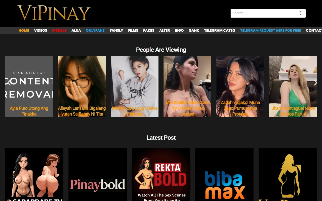 Screenshot of Vipinay